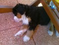 /album/fotogalerie-grace/grace-1-m-4-jpg1/